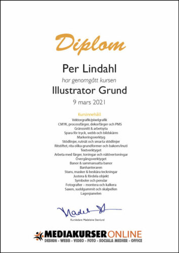 Diplom Illustrator